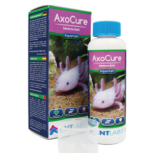 NT Labs Aquarium AxoCure Medicine 100ml