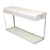 Plain Aquarium Fish Tank 60cm 80L Black / White