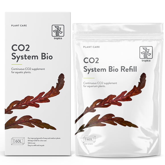 CO2 System Bio